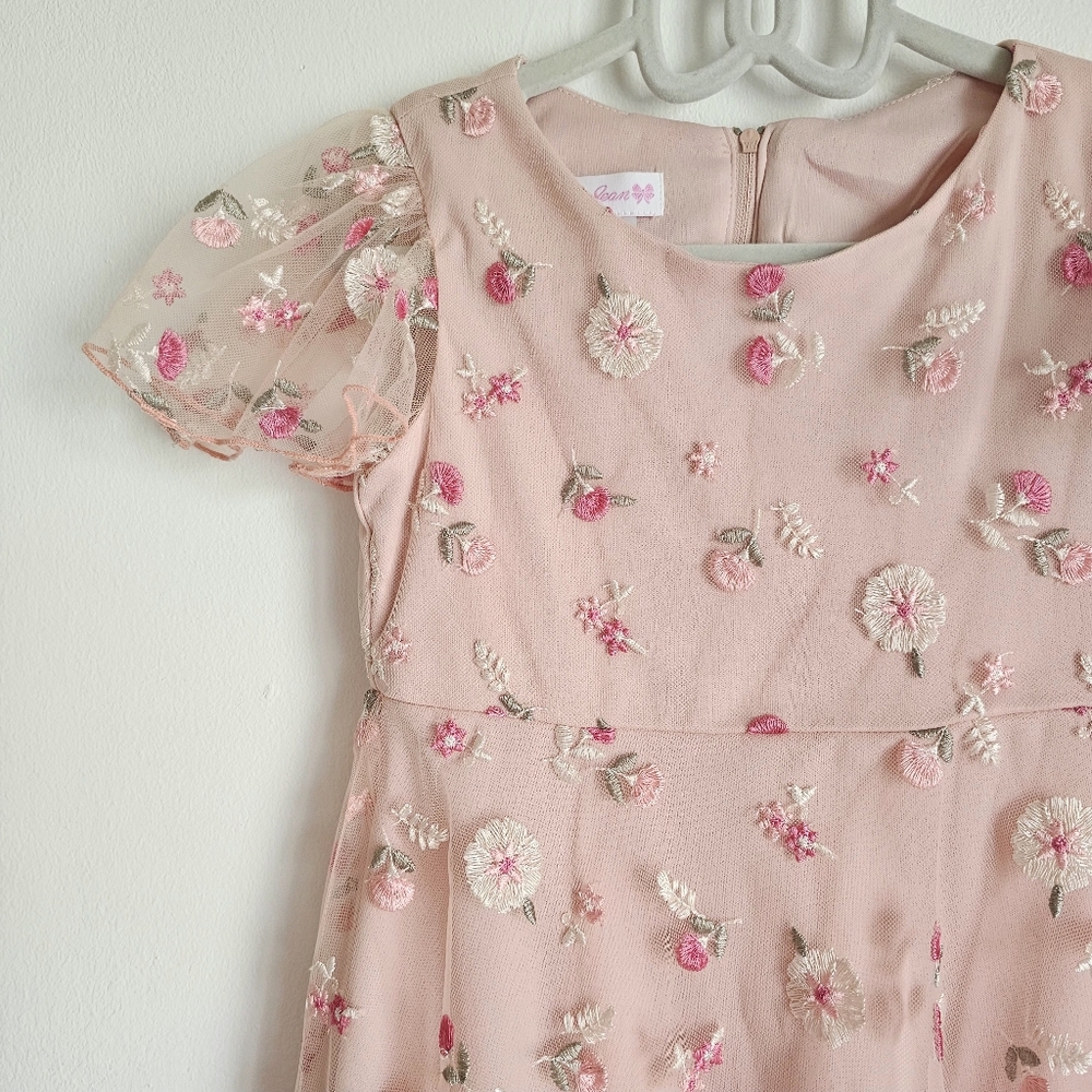 Embroidered Mesh Ruffle Dress - Picture 3 of 7